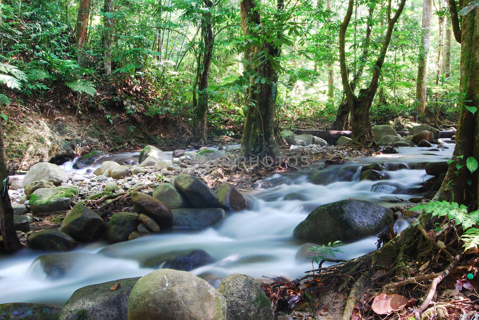 green waterfall by yuliang11