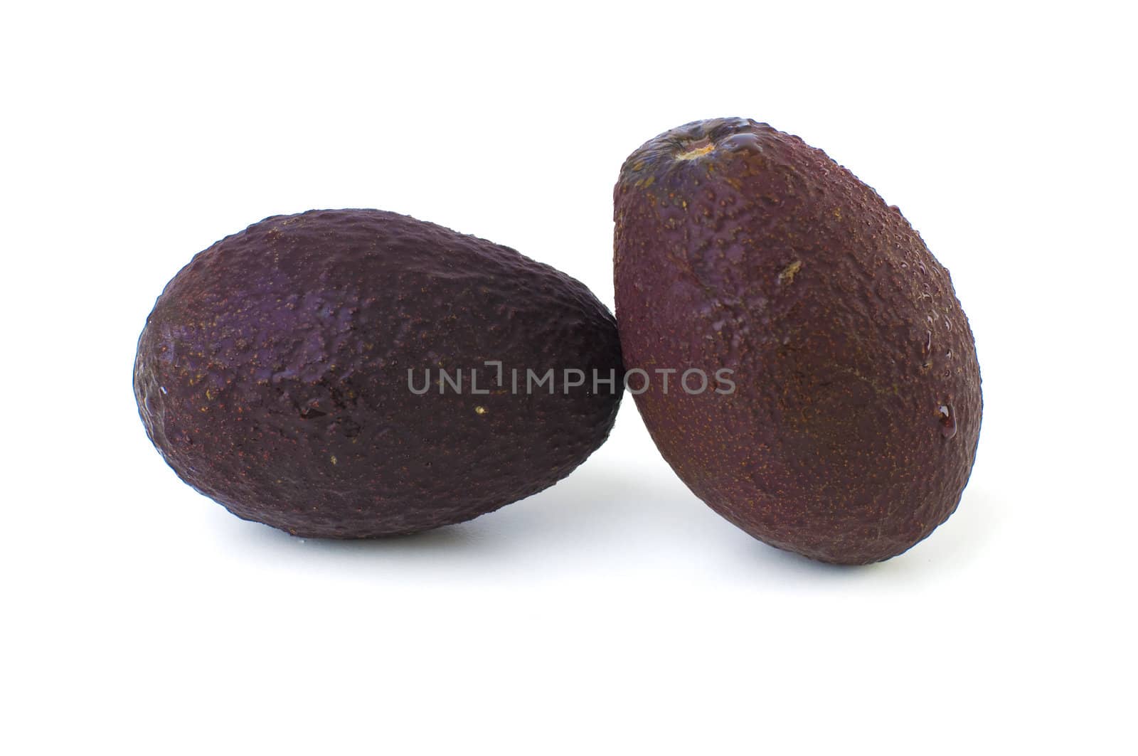 isolated avocado fruit by yuliang11