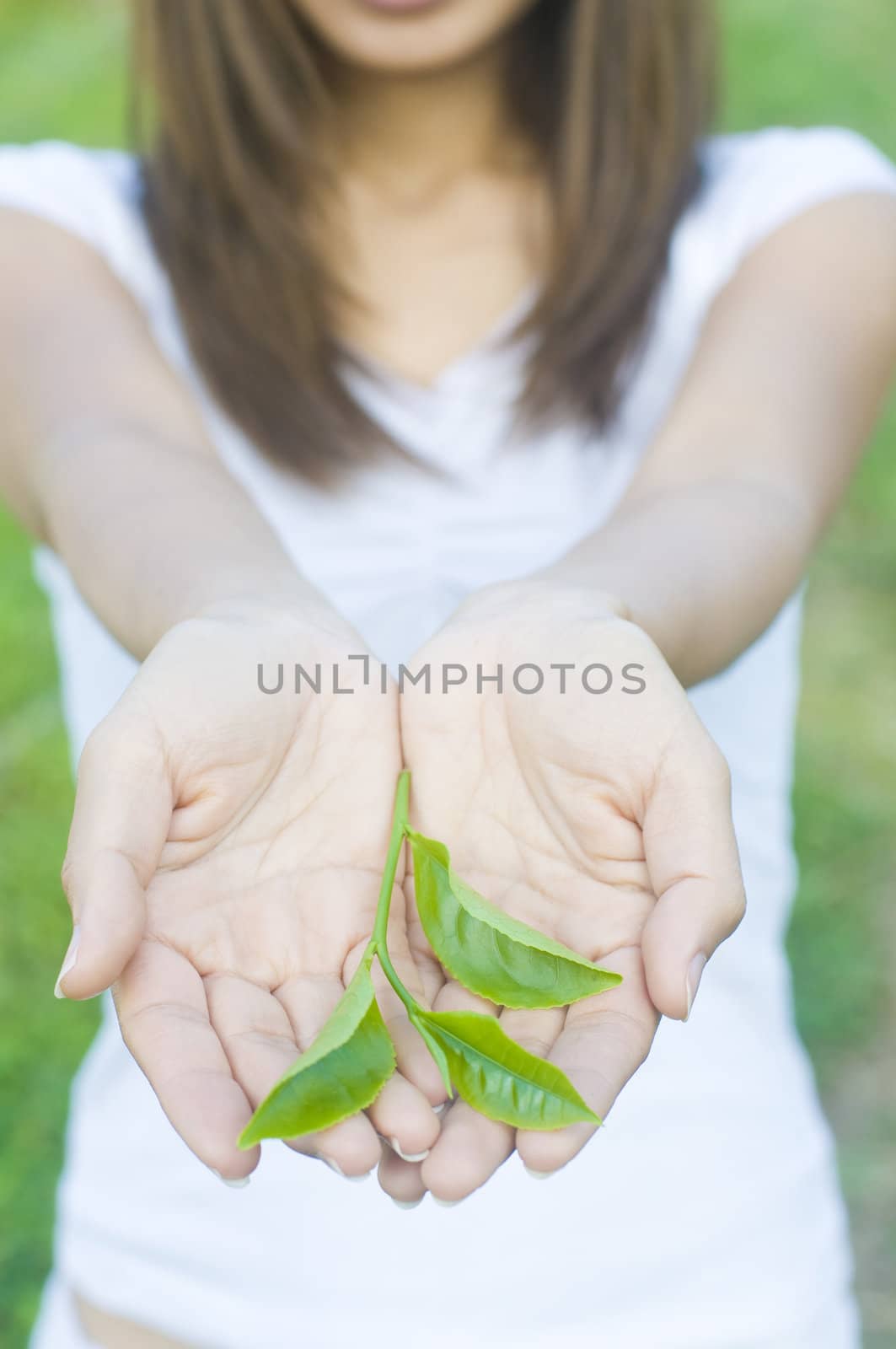 an asian female holding green tea