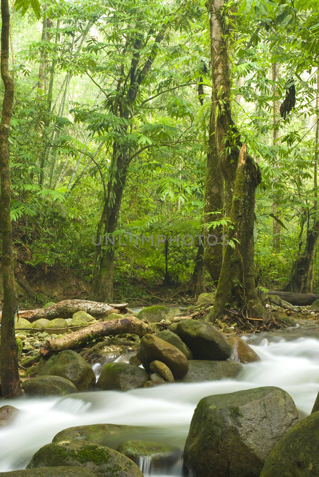 green waterfall