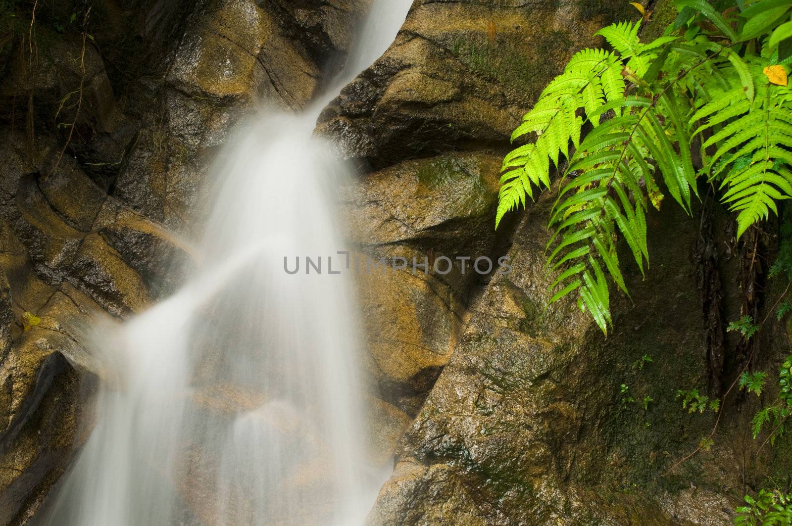 waterfall