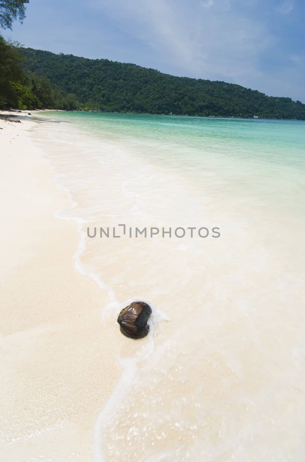 blue beach with a coconut 