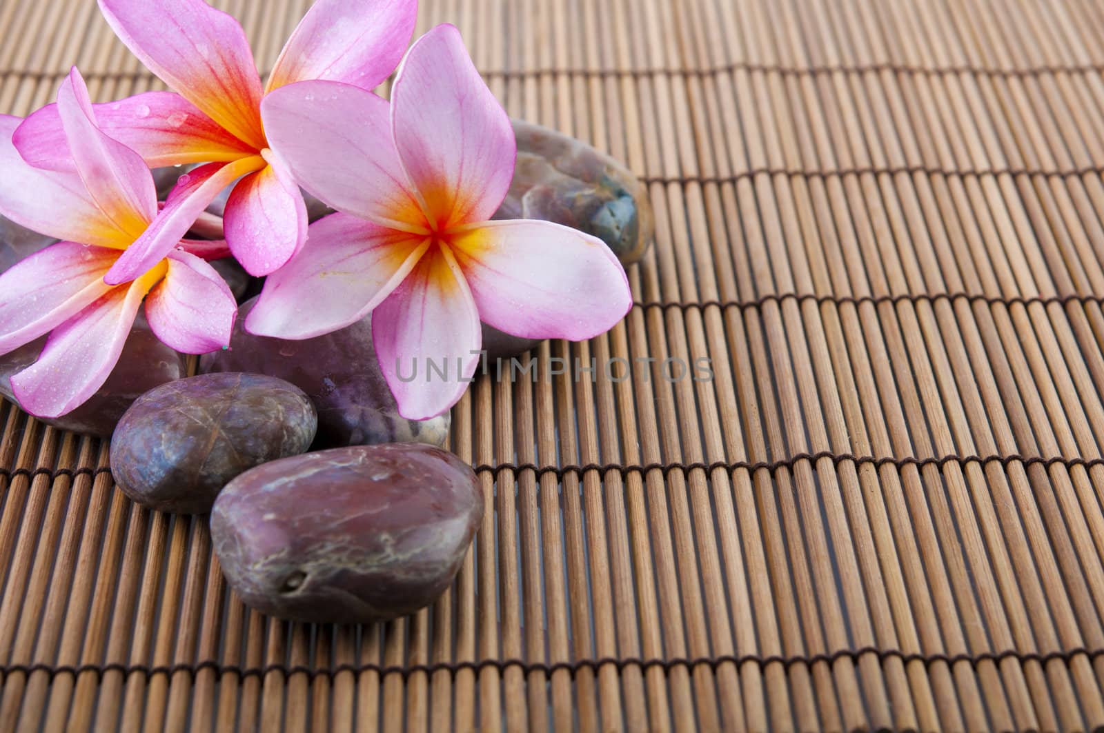 tropical spa with frangipani flowers