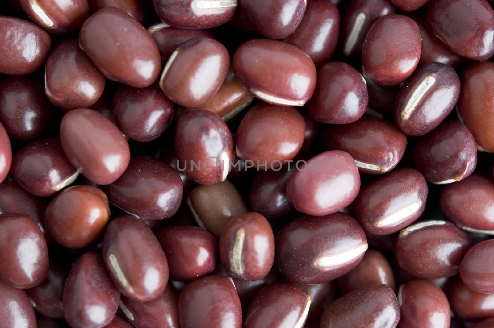 close up shot of read beans 