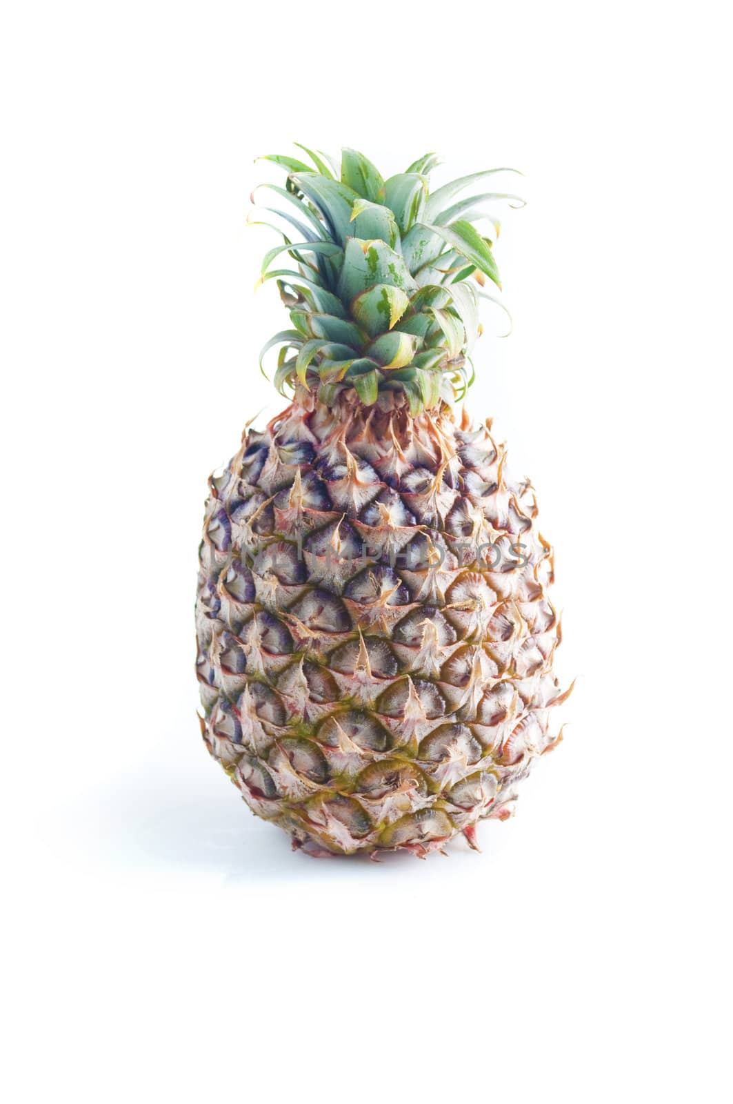isolated single pineapple with white background 
