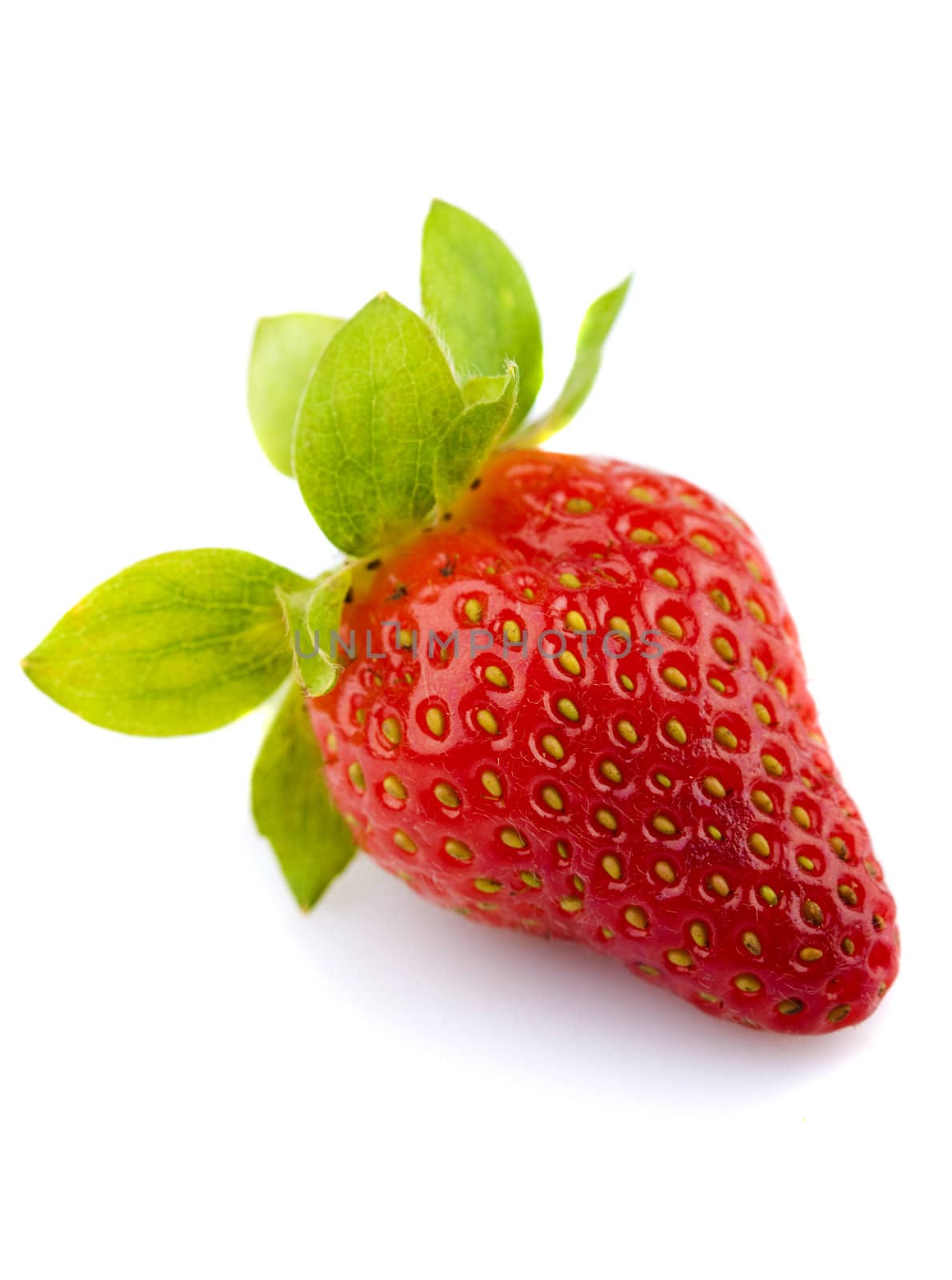 a single strawberry fruit isolated in white background