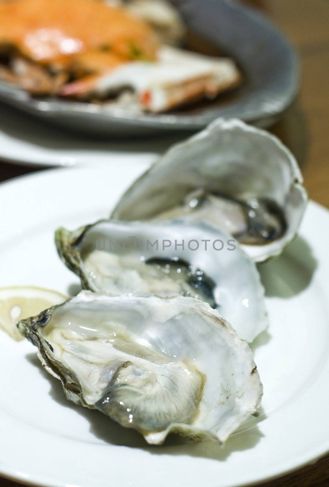 oyster by yuliang11