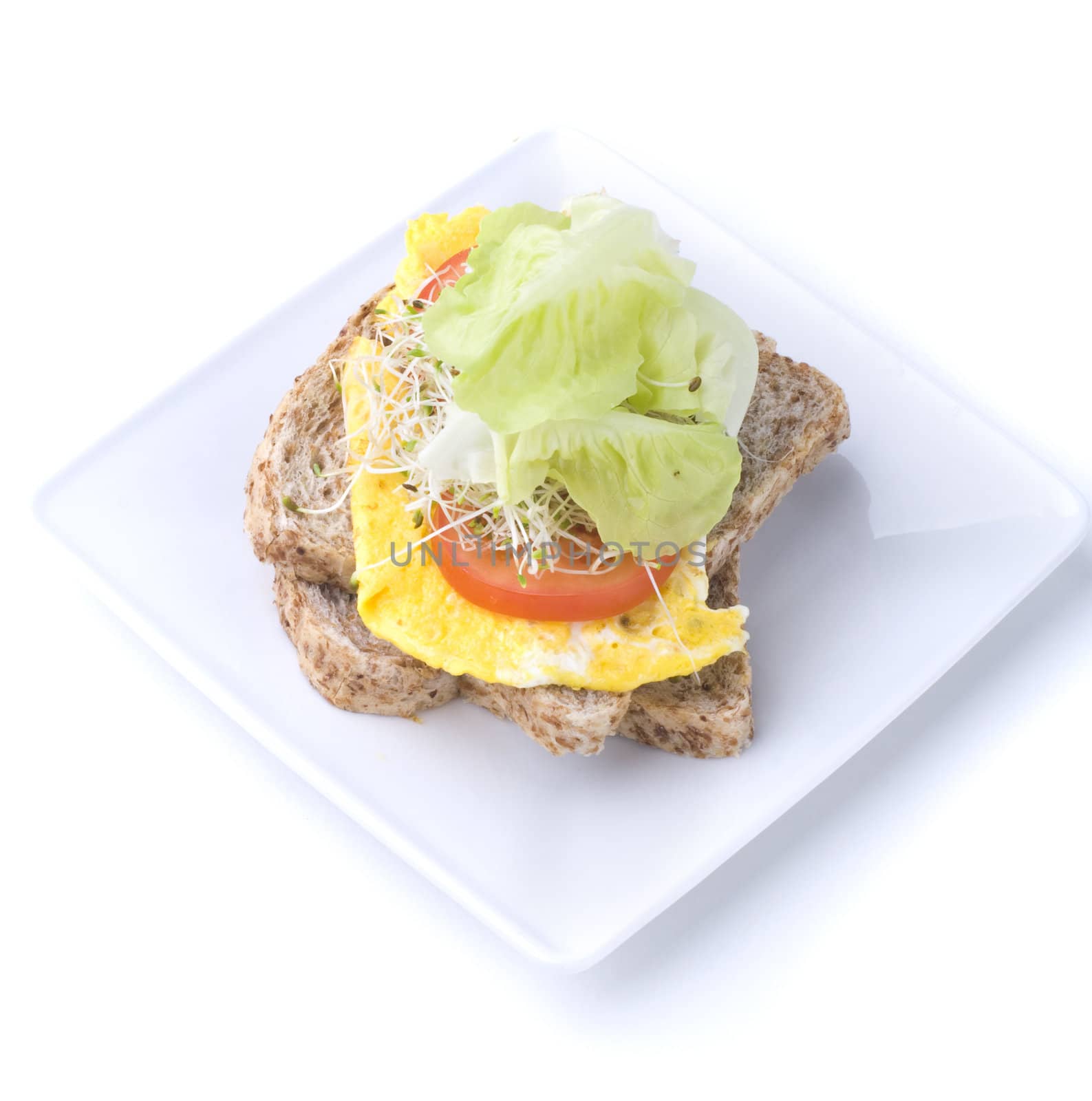 alfafa egg sandwich