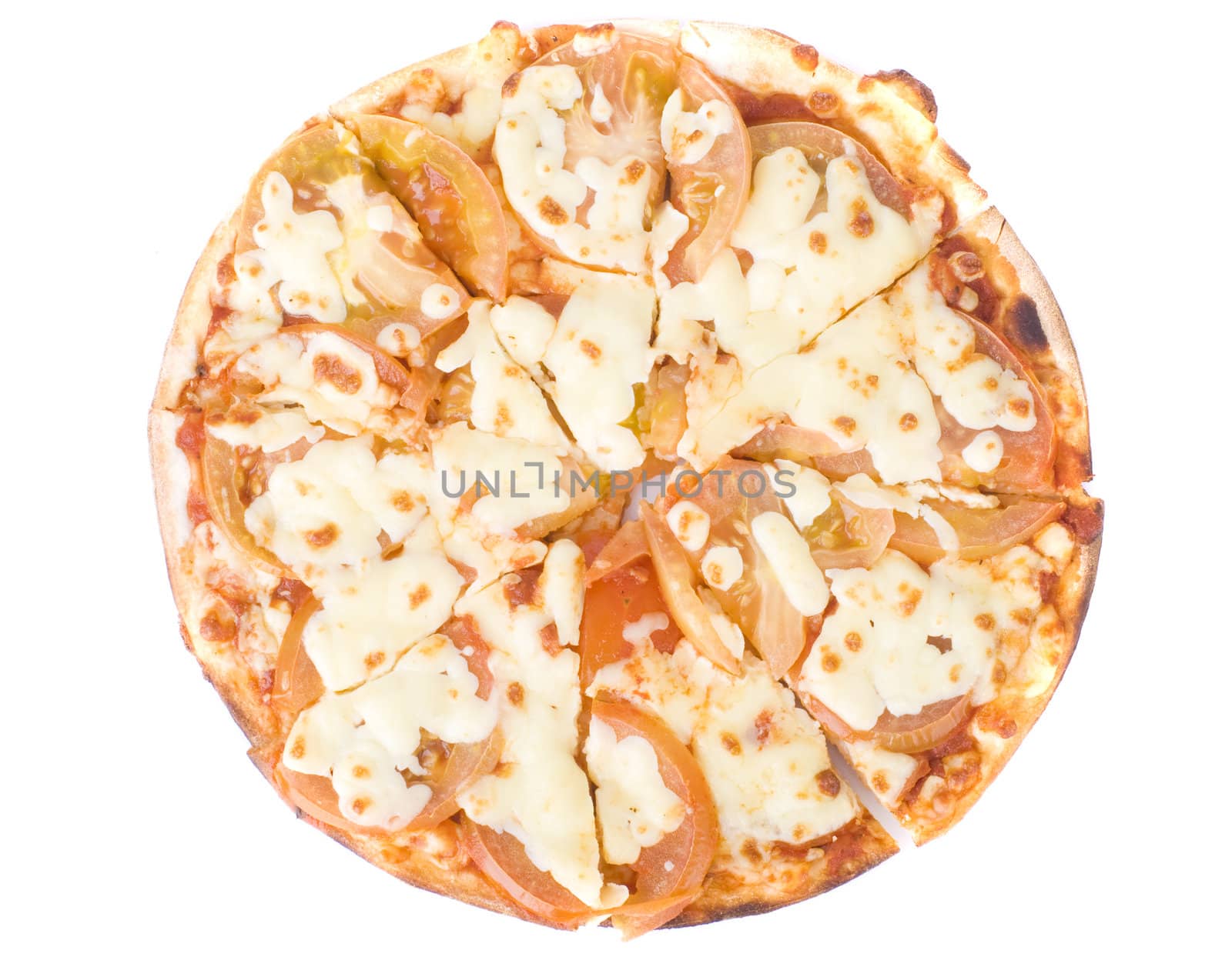 isolated single margahrita pizza