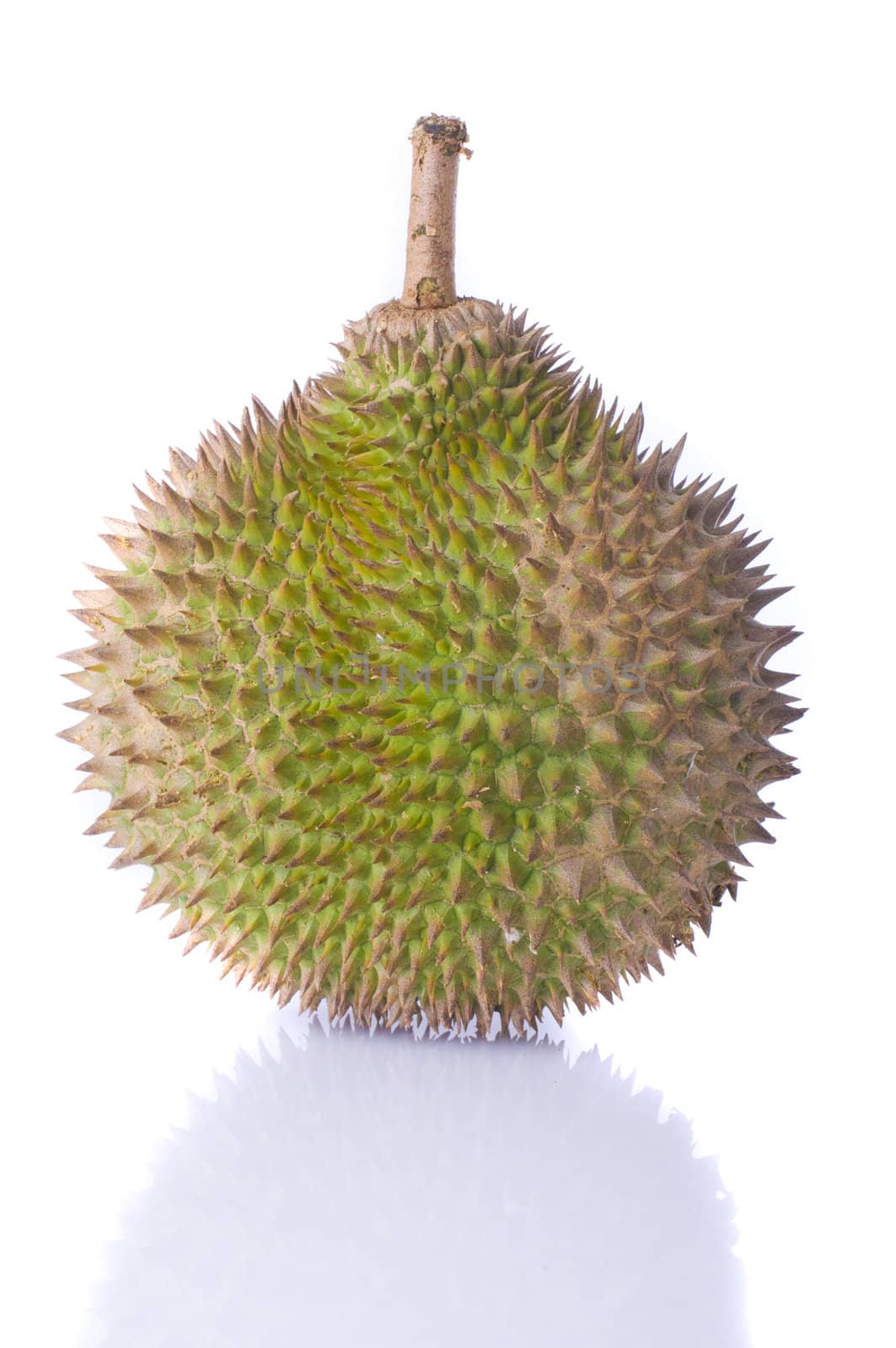 close up durian shot with isolated white background 