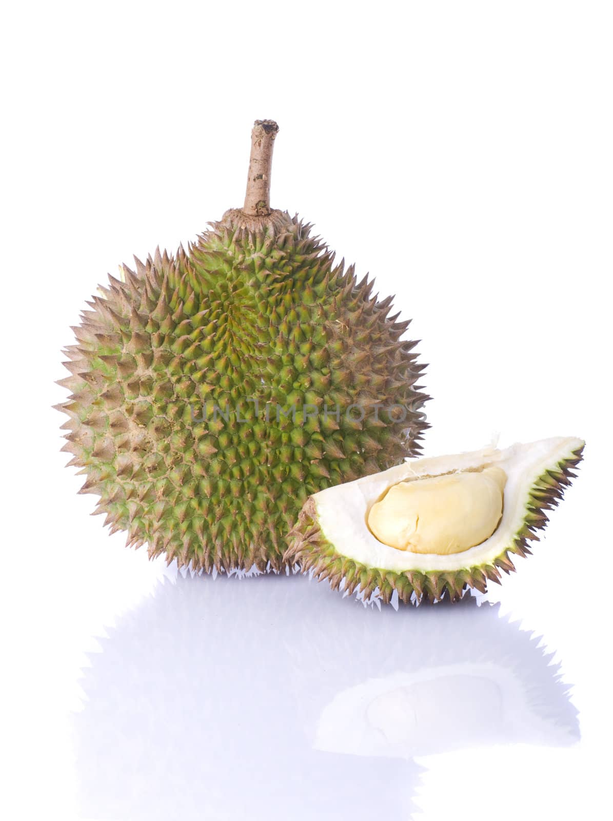 isolated durian with white background