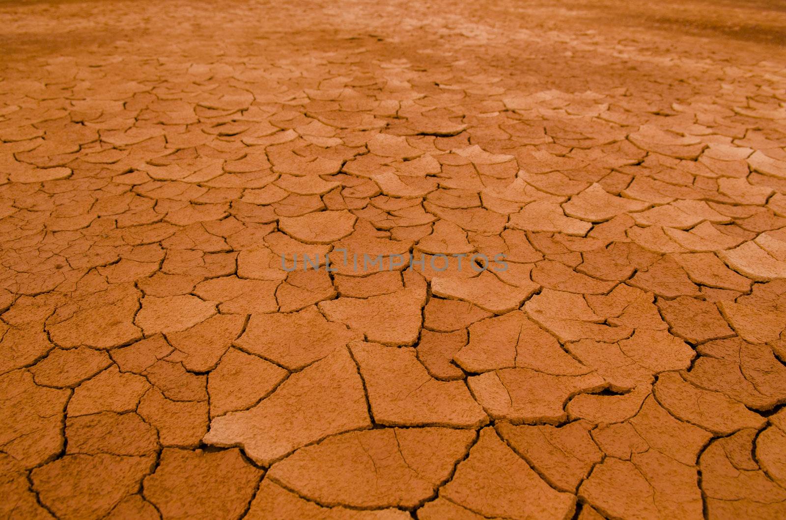 cracked earth for background purpose