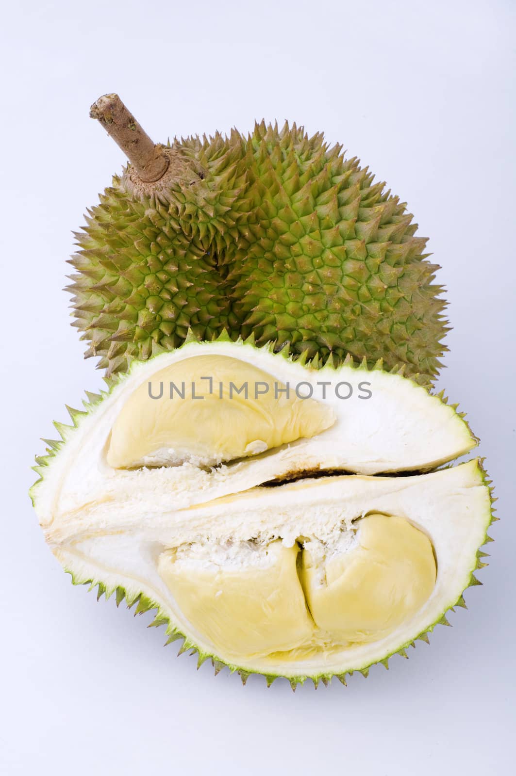 close up durian shot with plain background