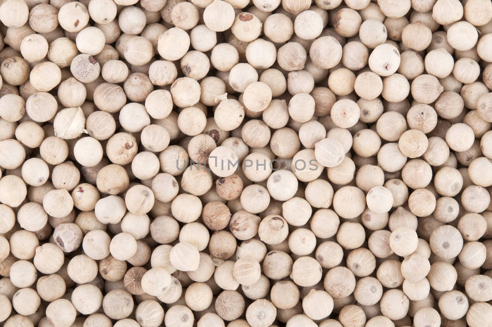 Pile of white peppercorns macro  by yuliang11