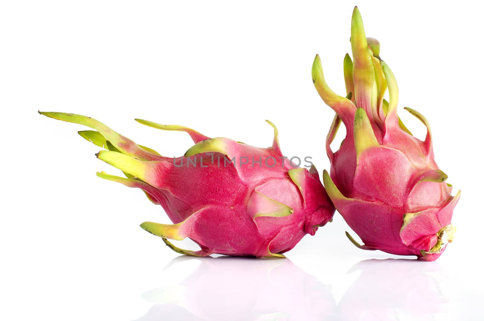The Dragon Fruit is also known as pitaya, pitahaya, huo long guo, strawberry pear, nanettikafruit or Thanh Long.
