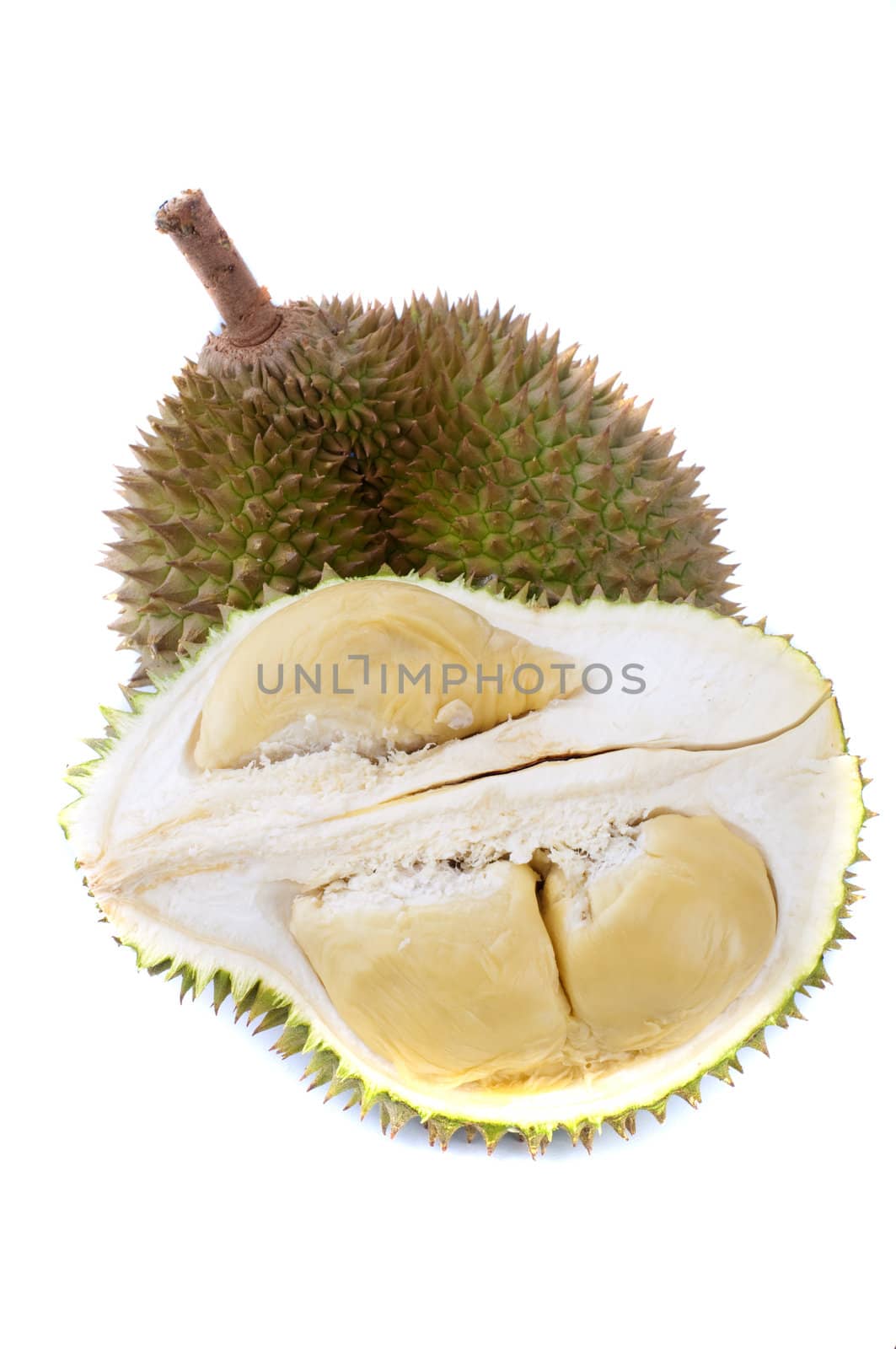 close up shot of durian isolated in white