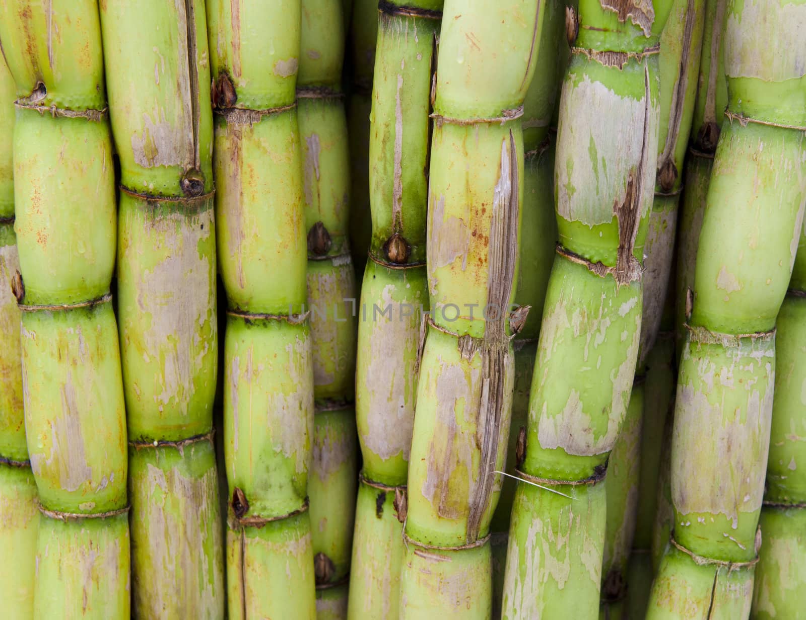 a lot of sugar cane for sale in the market
