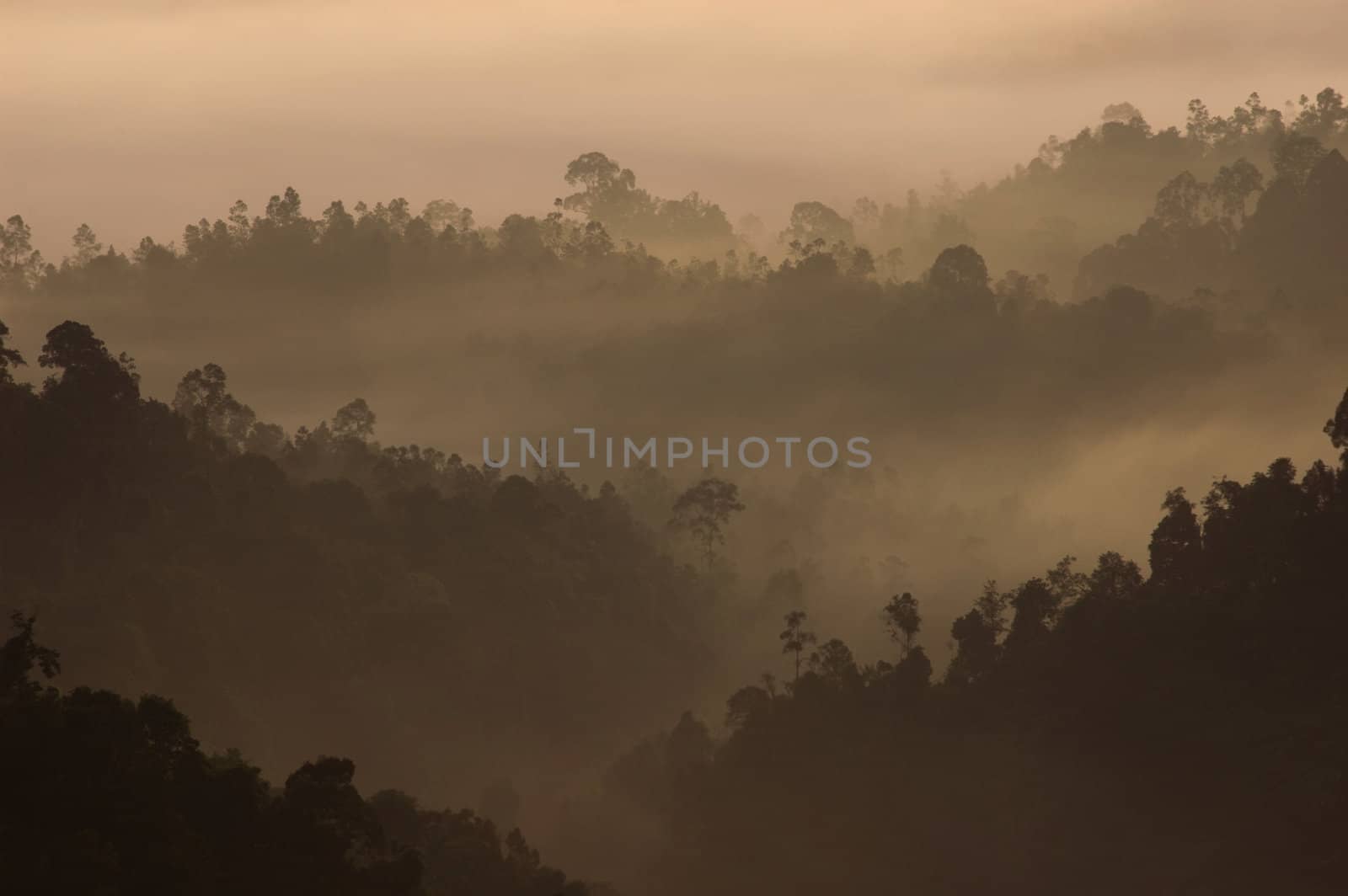 Morning Mist at Tropical Mountain Range, Malaysia 