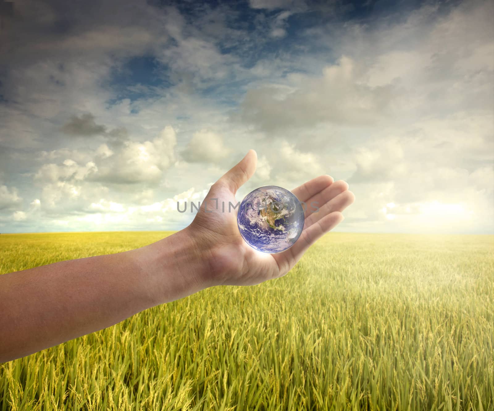 enviroment concept photo hand holding globe 

Earth map by courtesy of visibleearth.nasa.gov