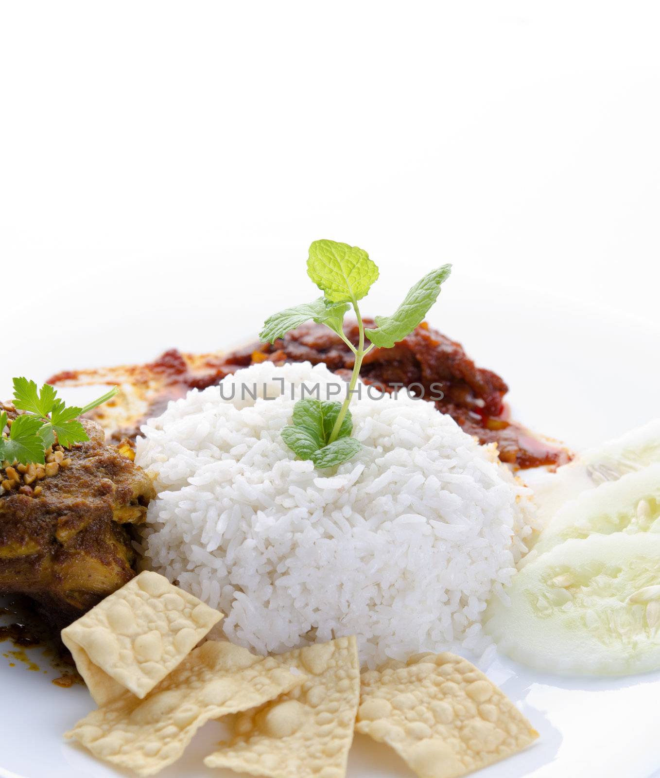 nasik lemak traditional malaysian food isolated on white
