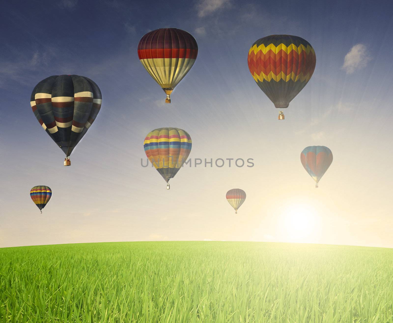 hor air baloon during a beautiful morning