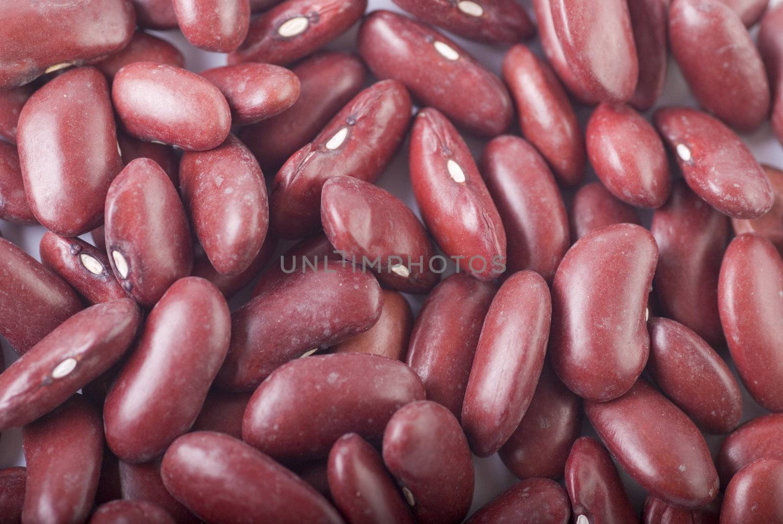 close up of red beans