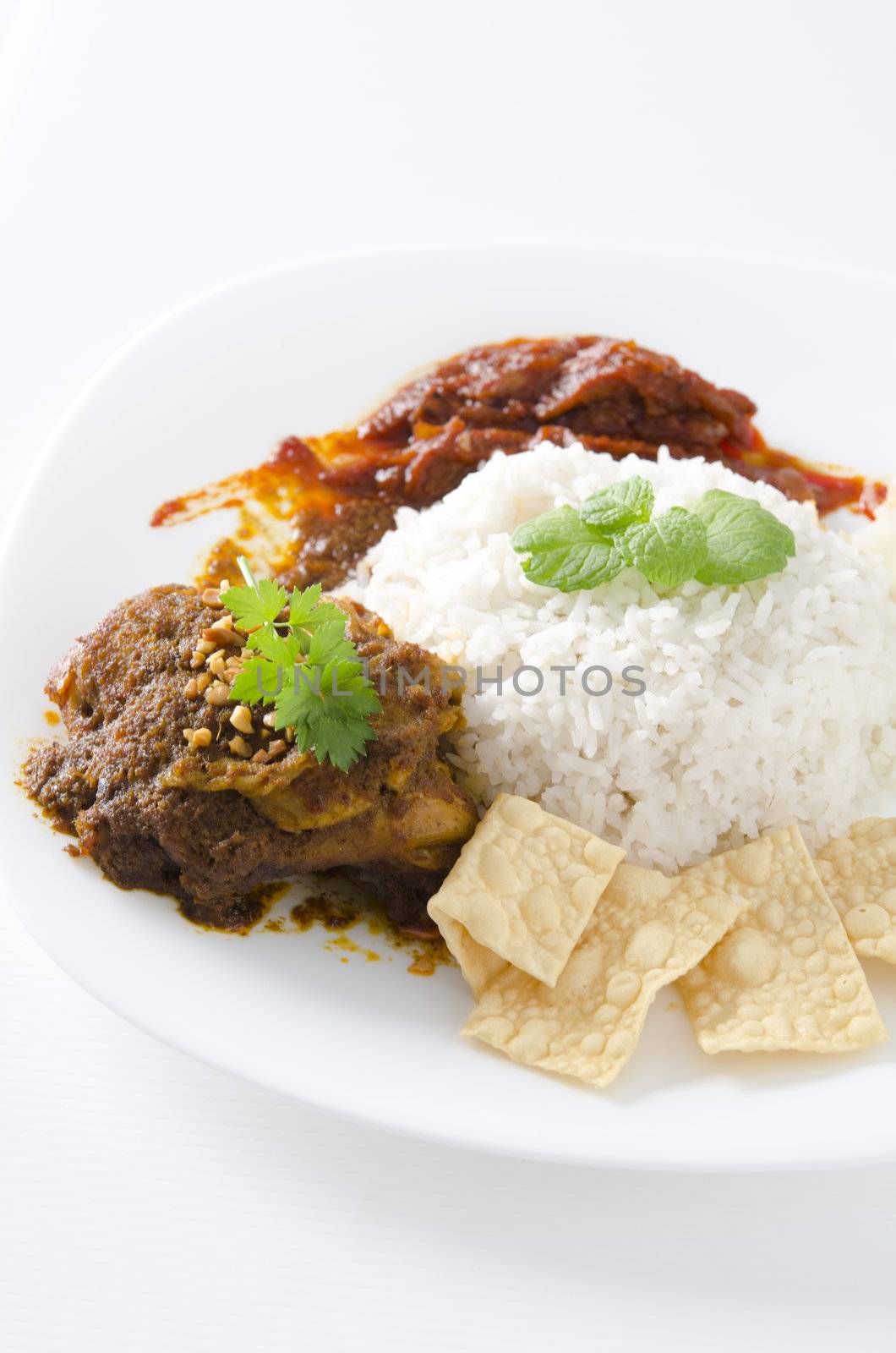 Nasi lemak traditional malaysian spicy rice dish by yuliang11