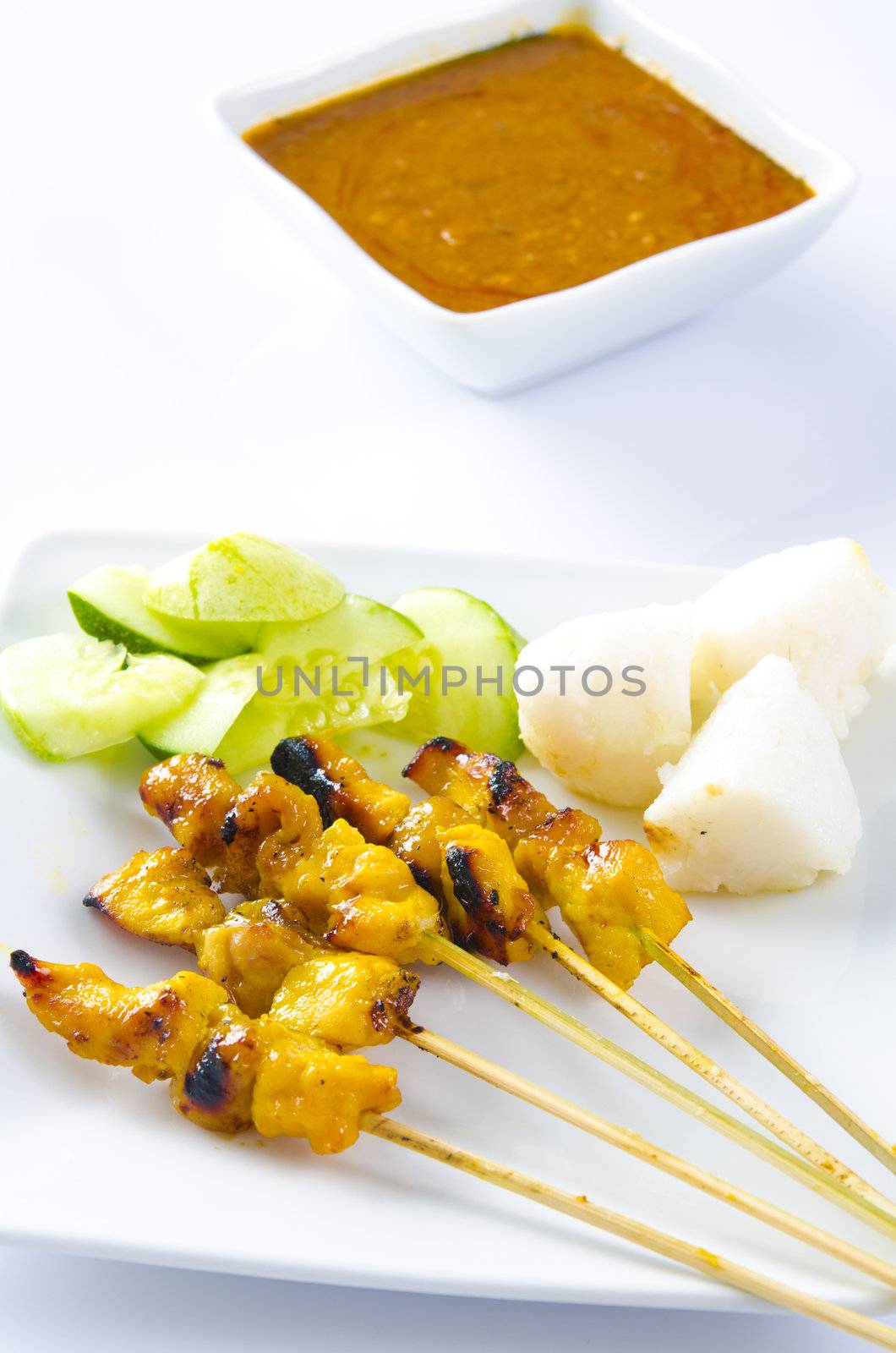 famous food, malaysian satay by yuliang11