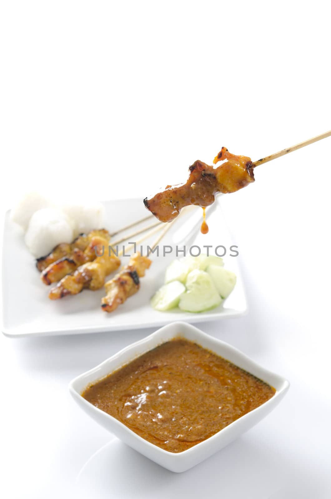 famous food, malaysian satay by yuliang11