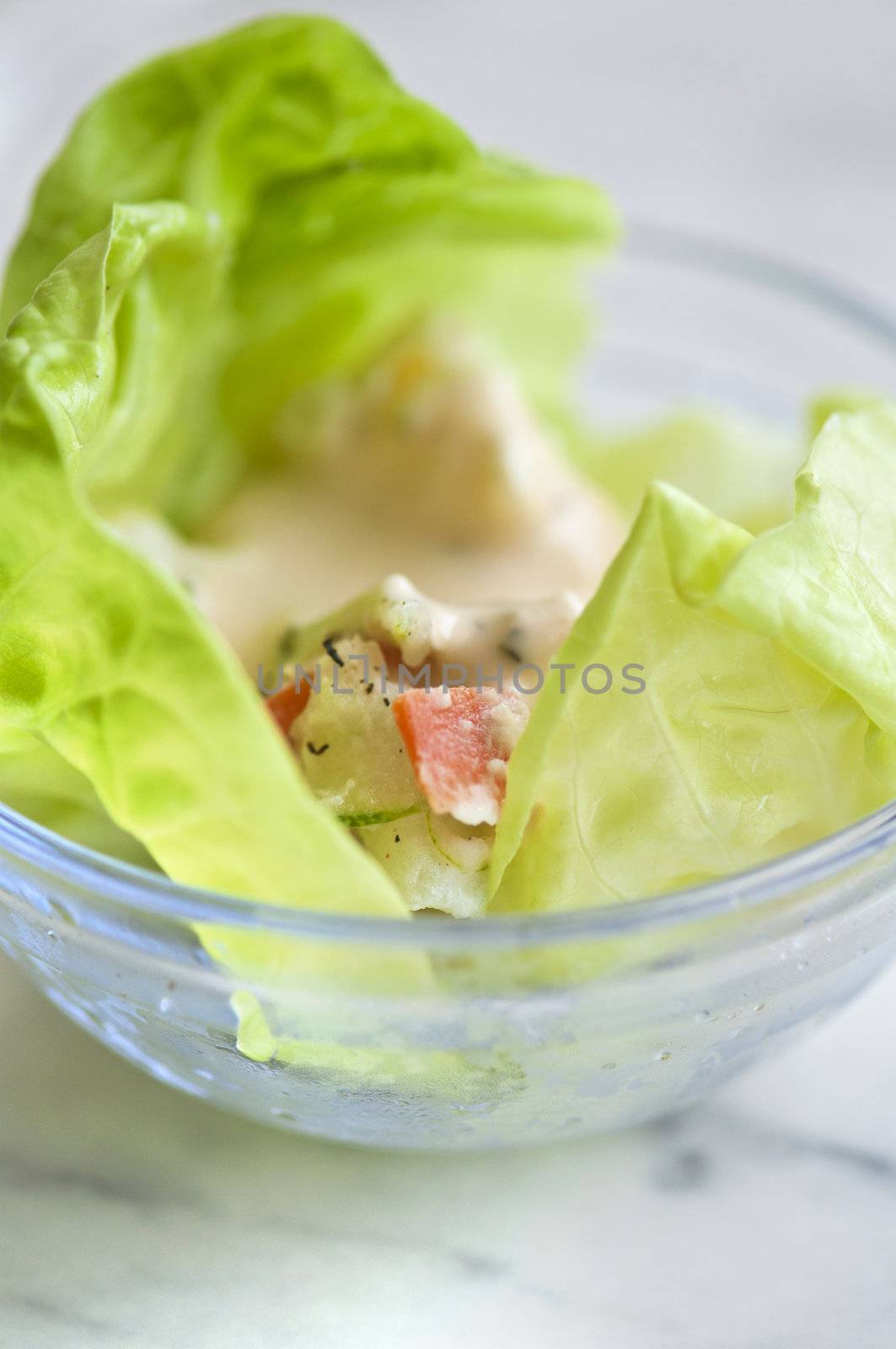 close up shot of healthy salad