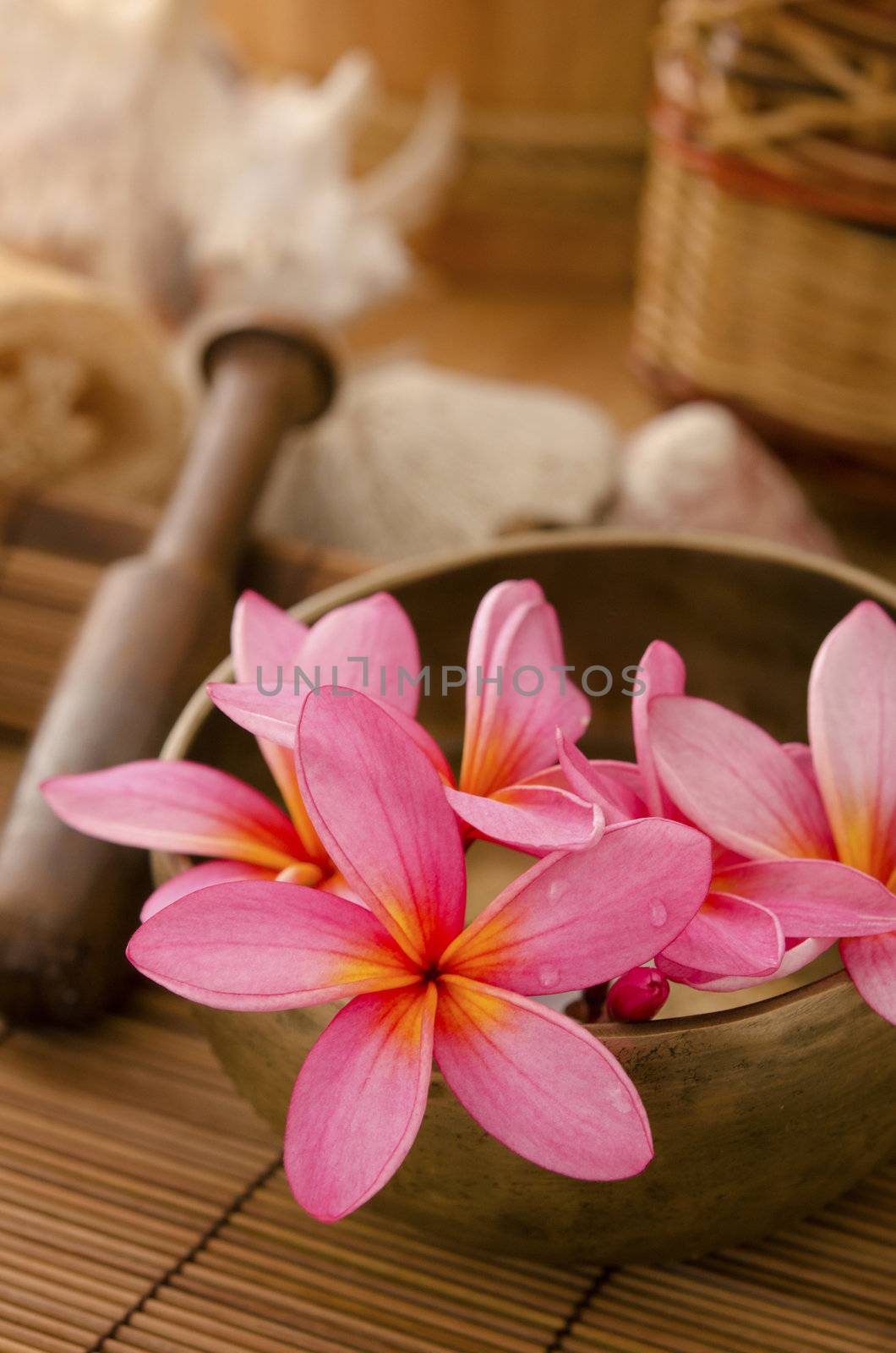 tropical spa with frangipani flowers by yuliang11