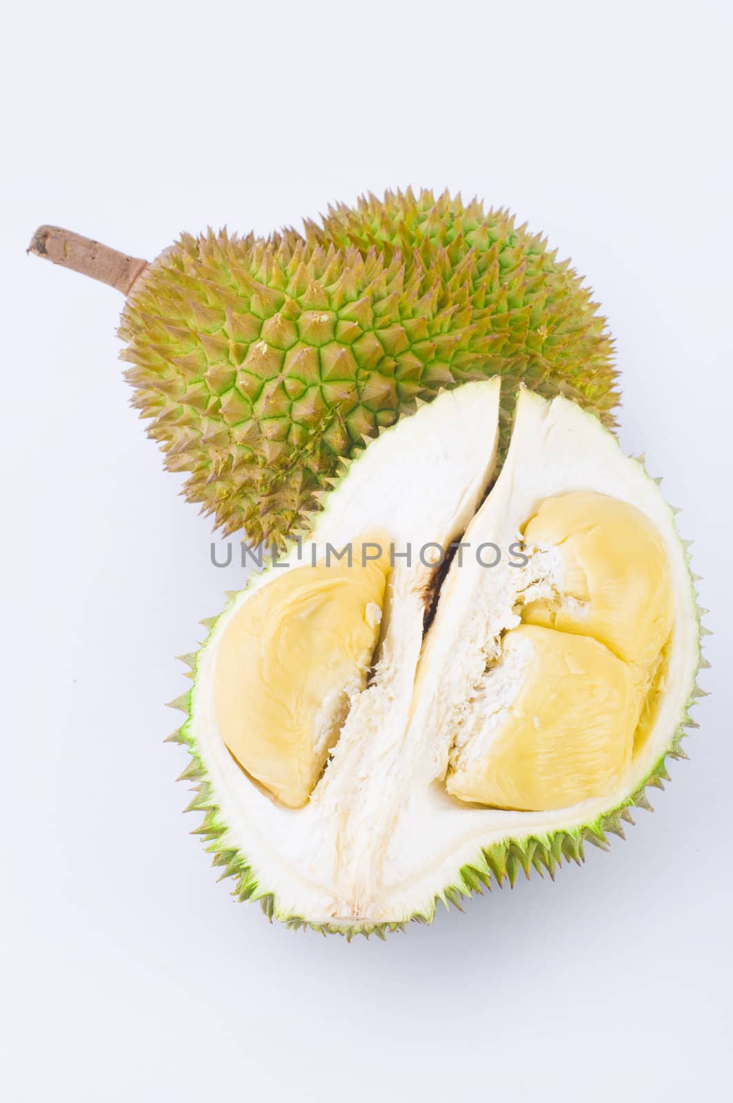durian the king of fruits