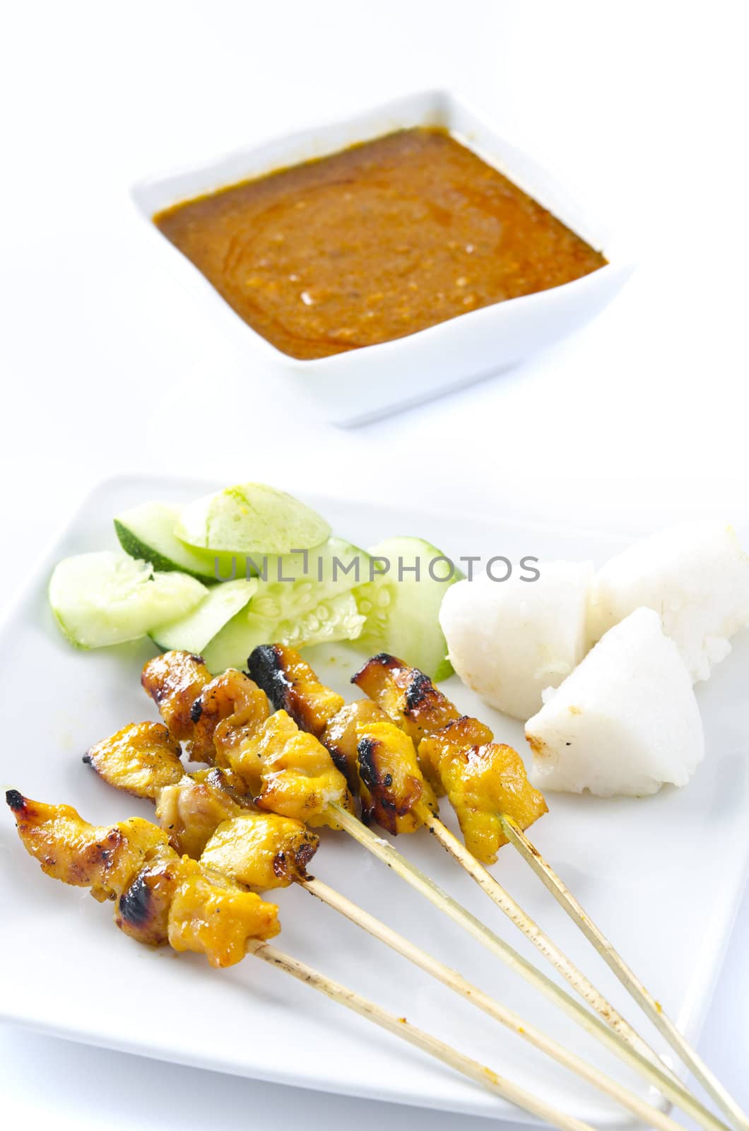 Delicious Asian Cuisine Chicken Satay by yuliang11