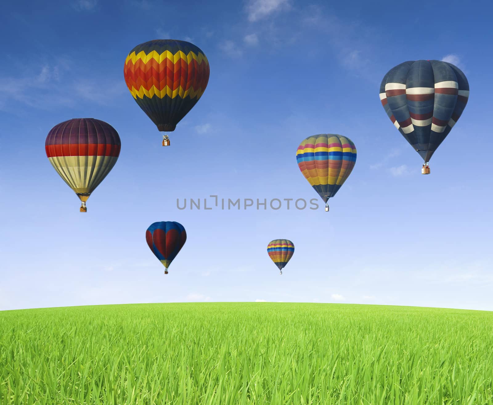 hot air balloons with blue sky on green grass meados