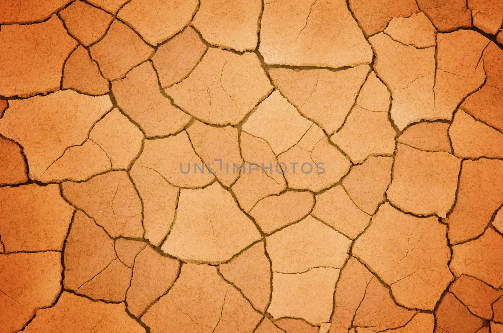 Dry cracked earth texture 
