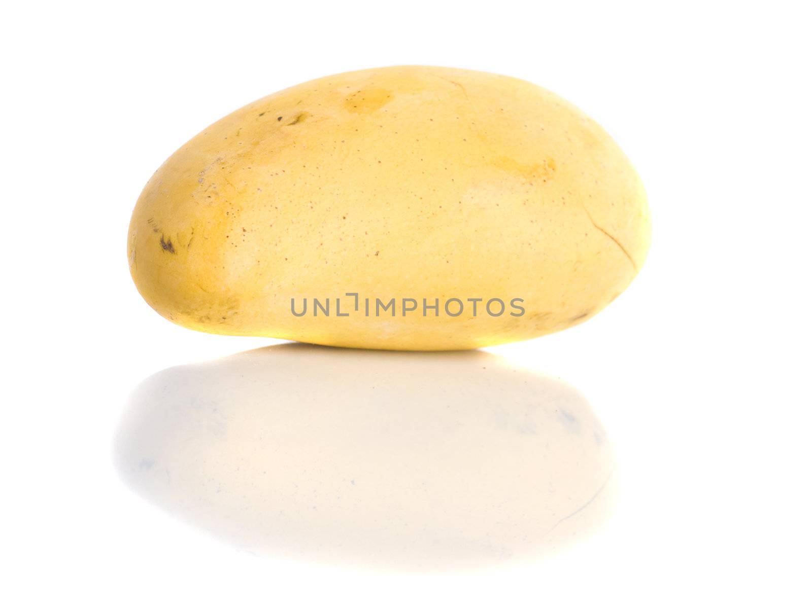 single isolated mango in isolated white background