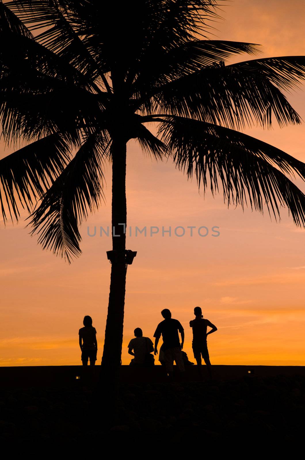 silhouette of people  by yuliang11