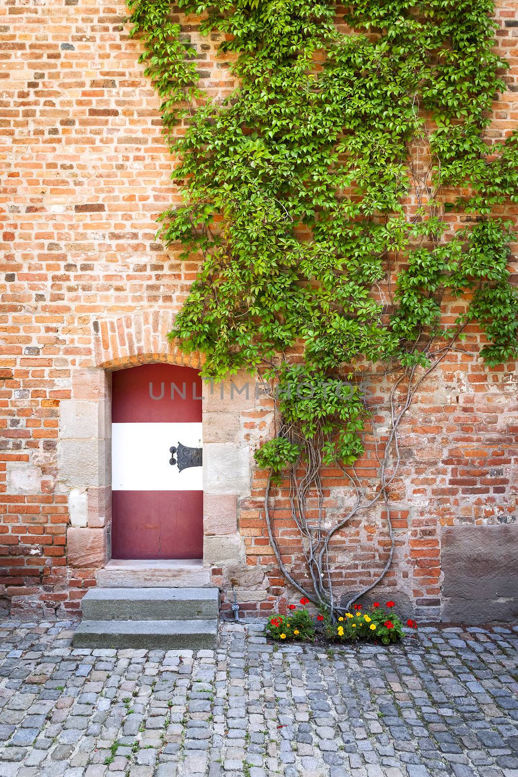 old door by magann