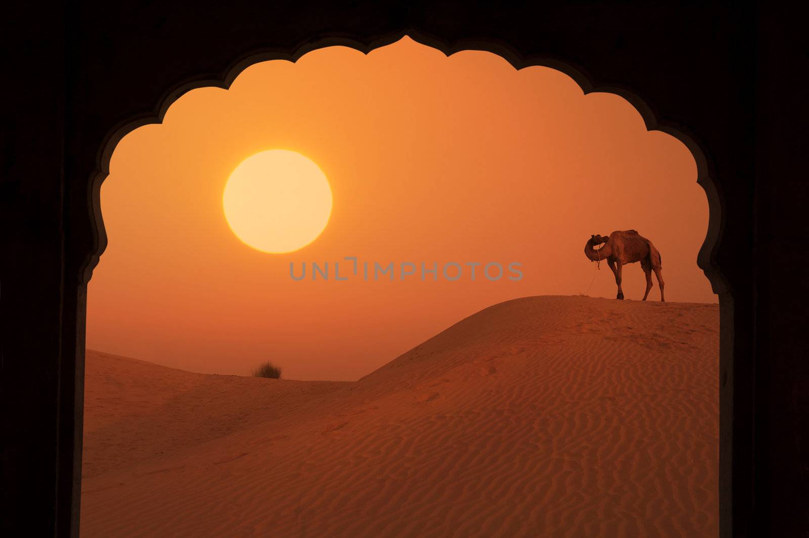silhouette of arabic architecture on desert during a beautiful sunset
