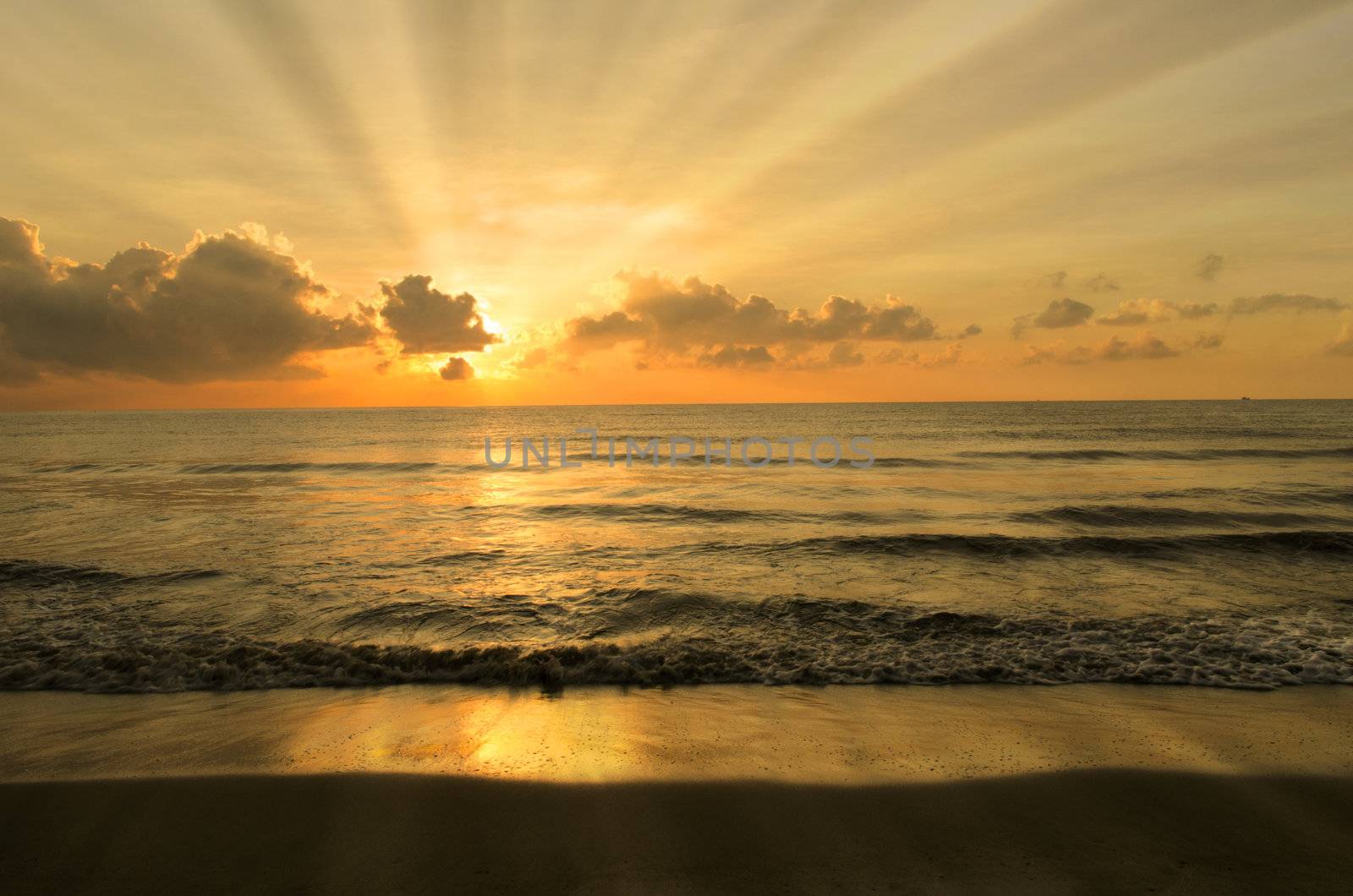 beach with rays during sunset