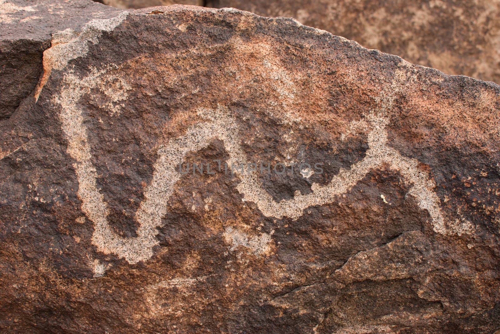 Image showing the carving of what appears to be a snake in a stone in the Arizona desert