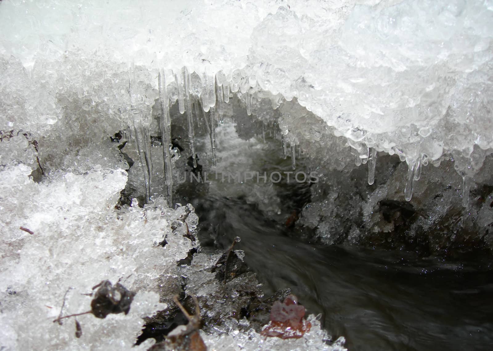                  Brook is covered by ice and water flows under them with a small strem                  