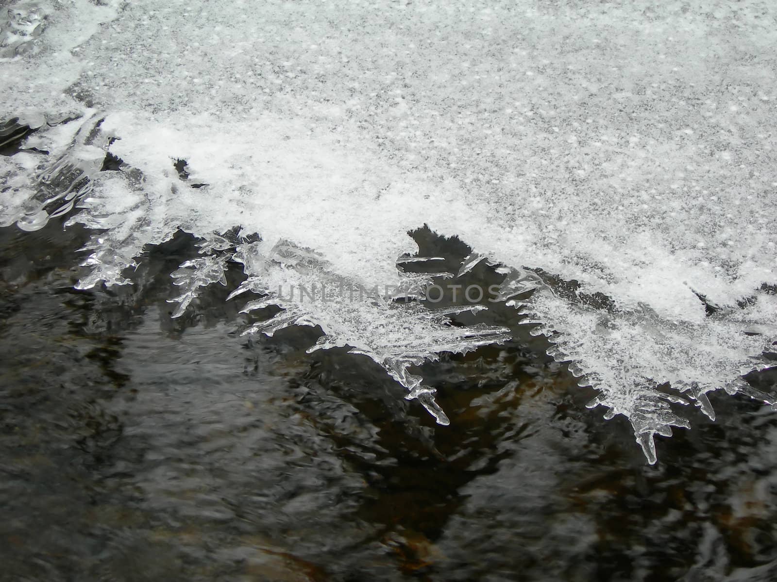              Brook is covered by ice and water flows under them with a small strem            