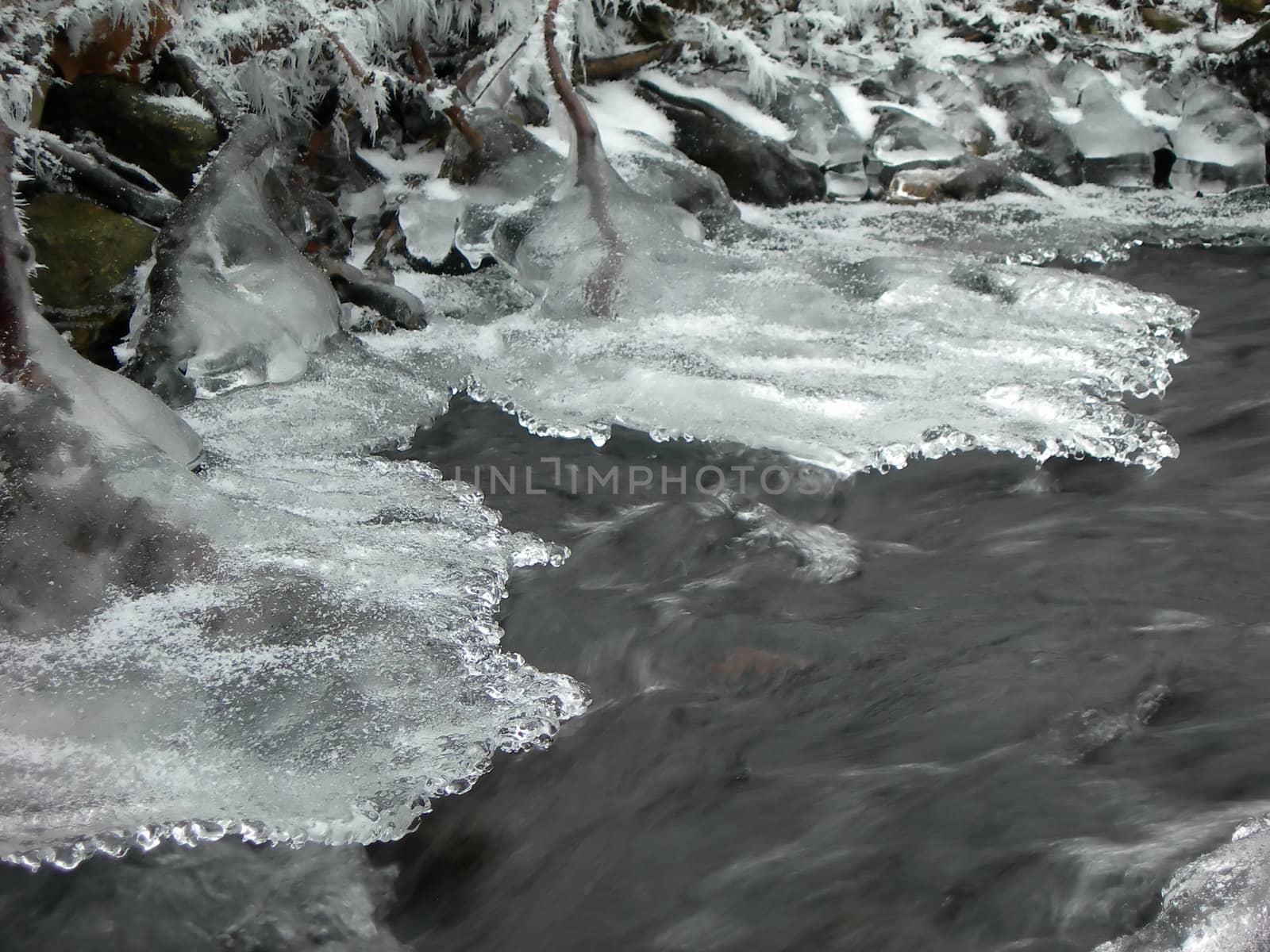               Brook is covered by ice and water flows under them with a small strem          