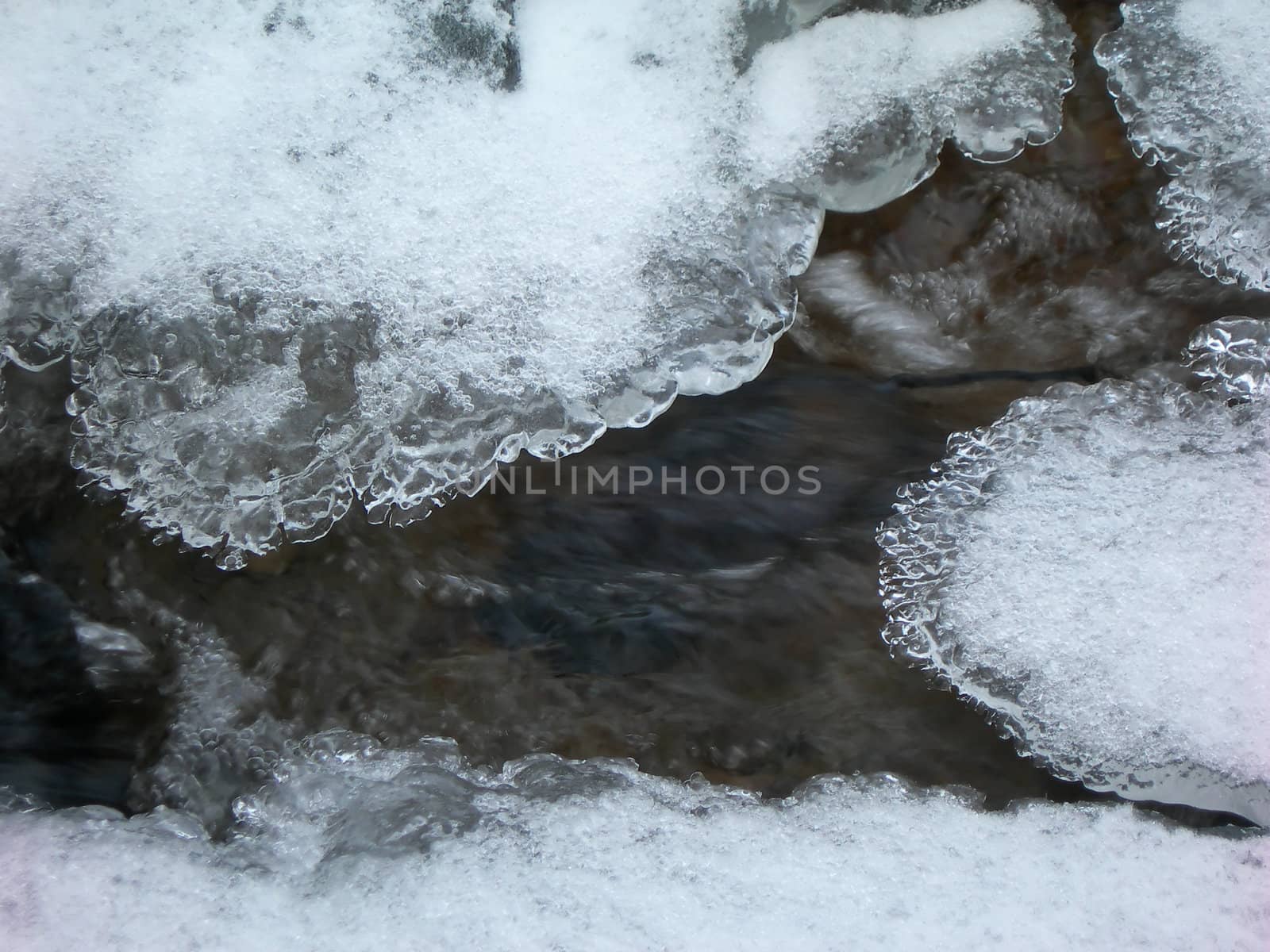        Brook is covered by ice and water flows under them with a small strem                