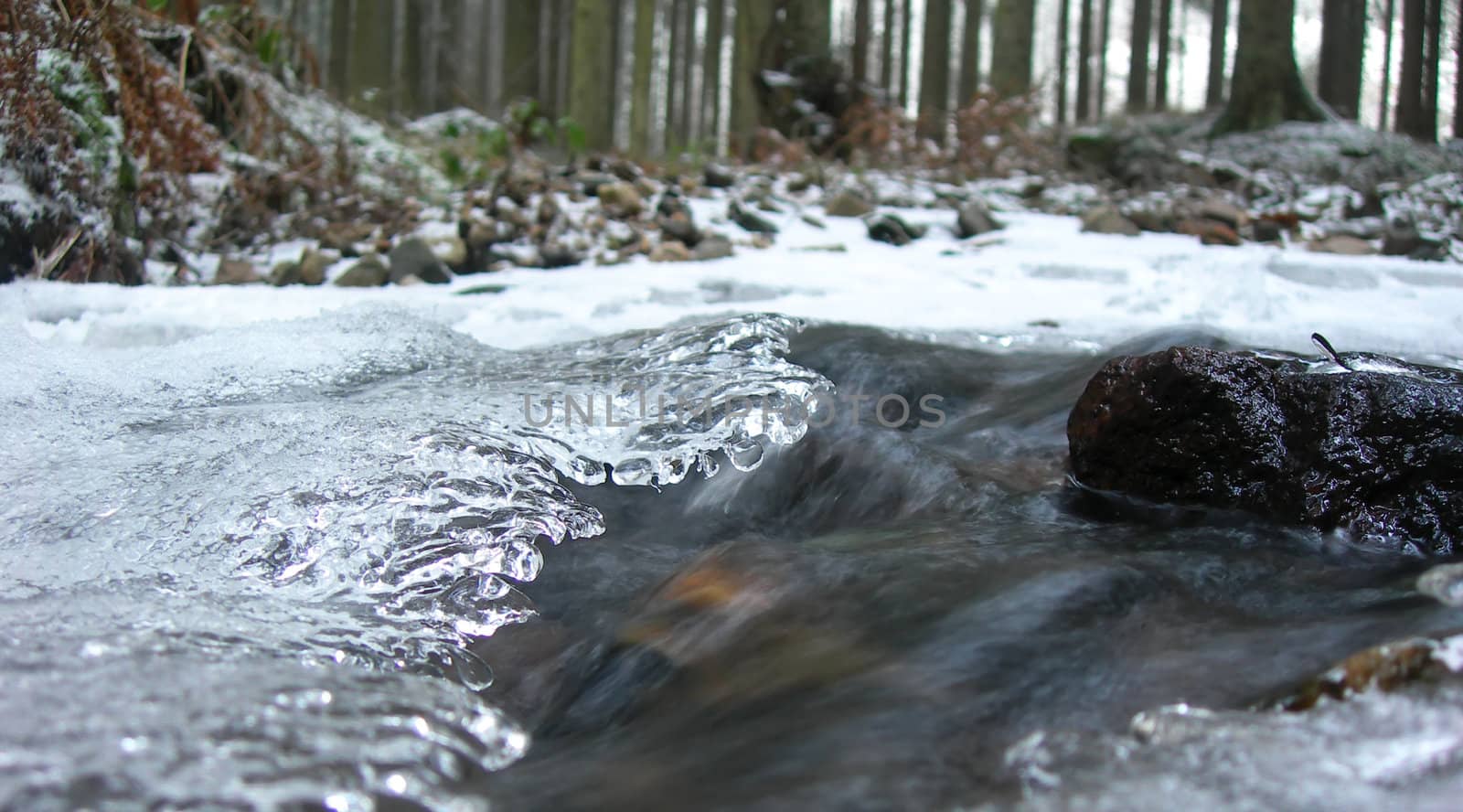 Water of a brook in the winter is covered by ice. Under it flows a crystal clear spring 