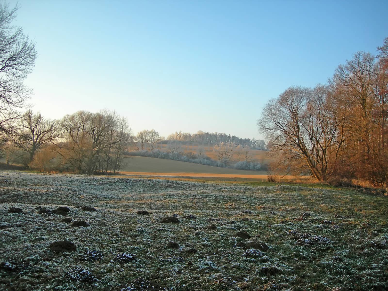        Ploughed field and forest covered with snow in winter in misty atmosphere     