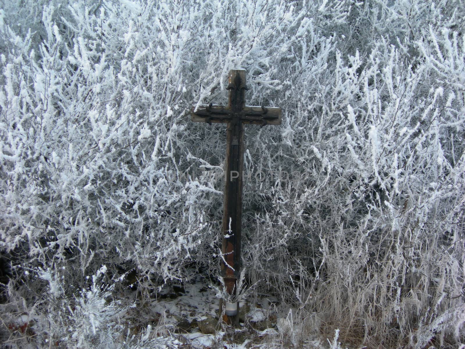 Christian cross hidden in the freezing shrub          