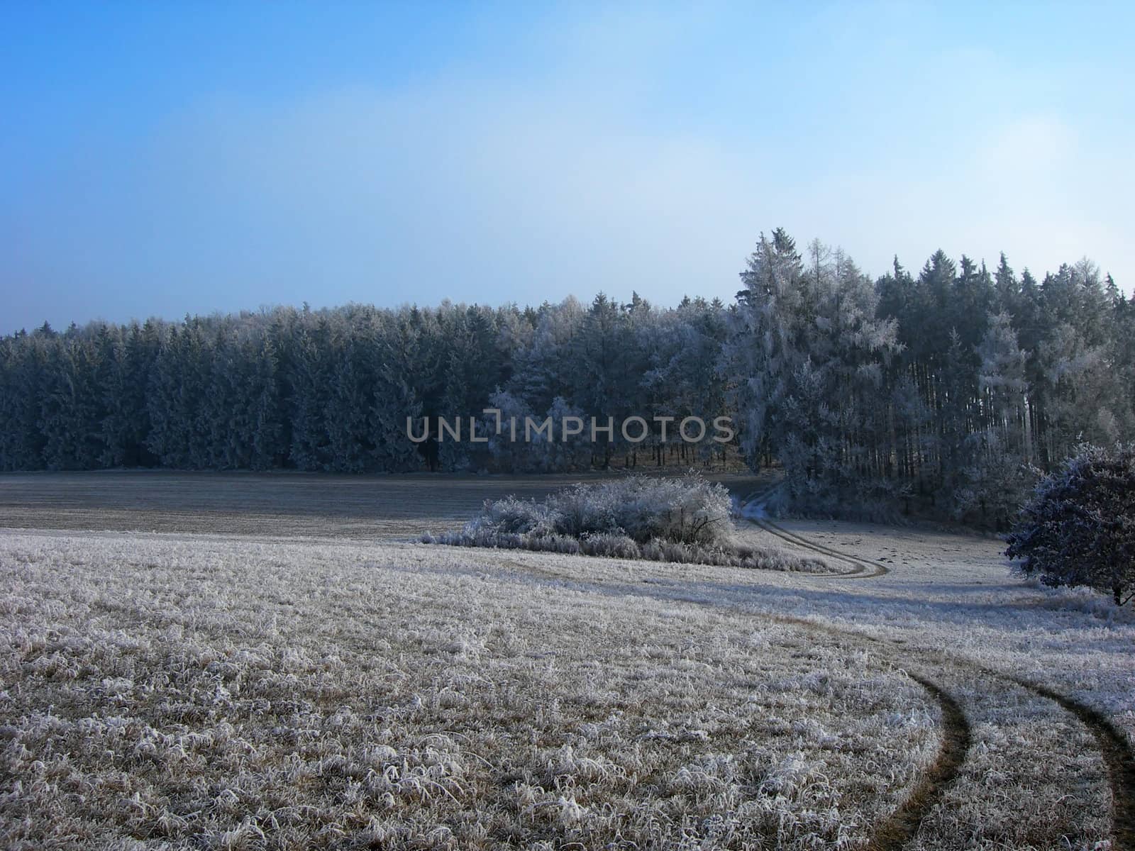      Lonely road in the winter country with a snow and ice      