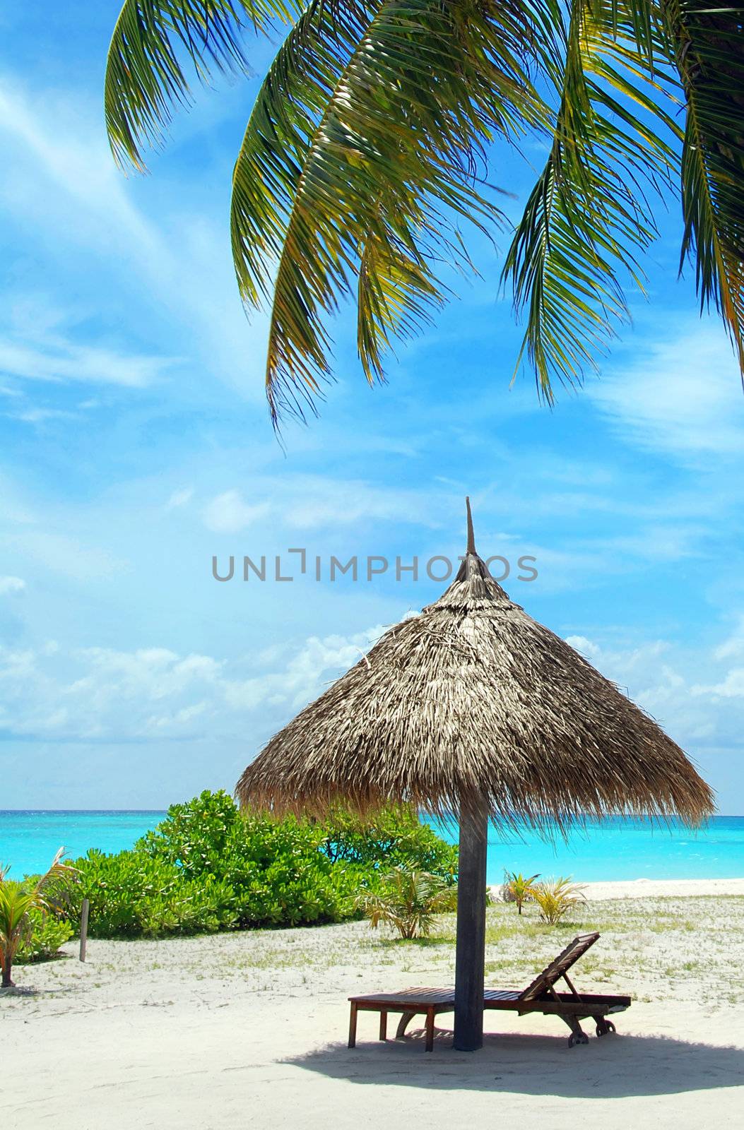 Beautiful white Maldivian beach with palm, parasol and turquoise sea